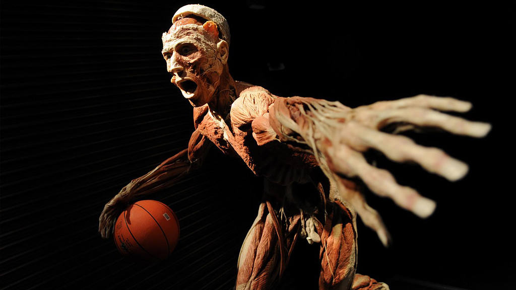 KDH žiada zastavenie výstavy Body Worlds