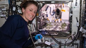 Astronautky Jasmin Moghbeliová a Loral O'Harová na sociálnej sieti X potvrdili, že odovzdali vo vesmíre hlasy v primárkach.