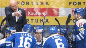 Slovenskú hokejovú reprezentáciu na majstrovstvách sveta posilnia ďalší dvaja hráči, ktorí v tejto sezóne nastúpili v NHL.
