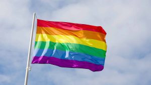 Polovica slovenskej populácie nesúhlasí s tým, aby LGBTQI+ páry mali rovnaké práva ako heterosexuáli, vyplýva to z prieskumu.